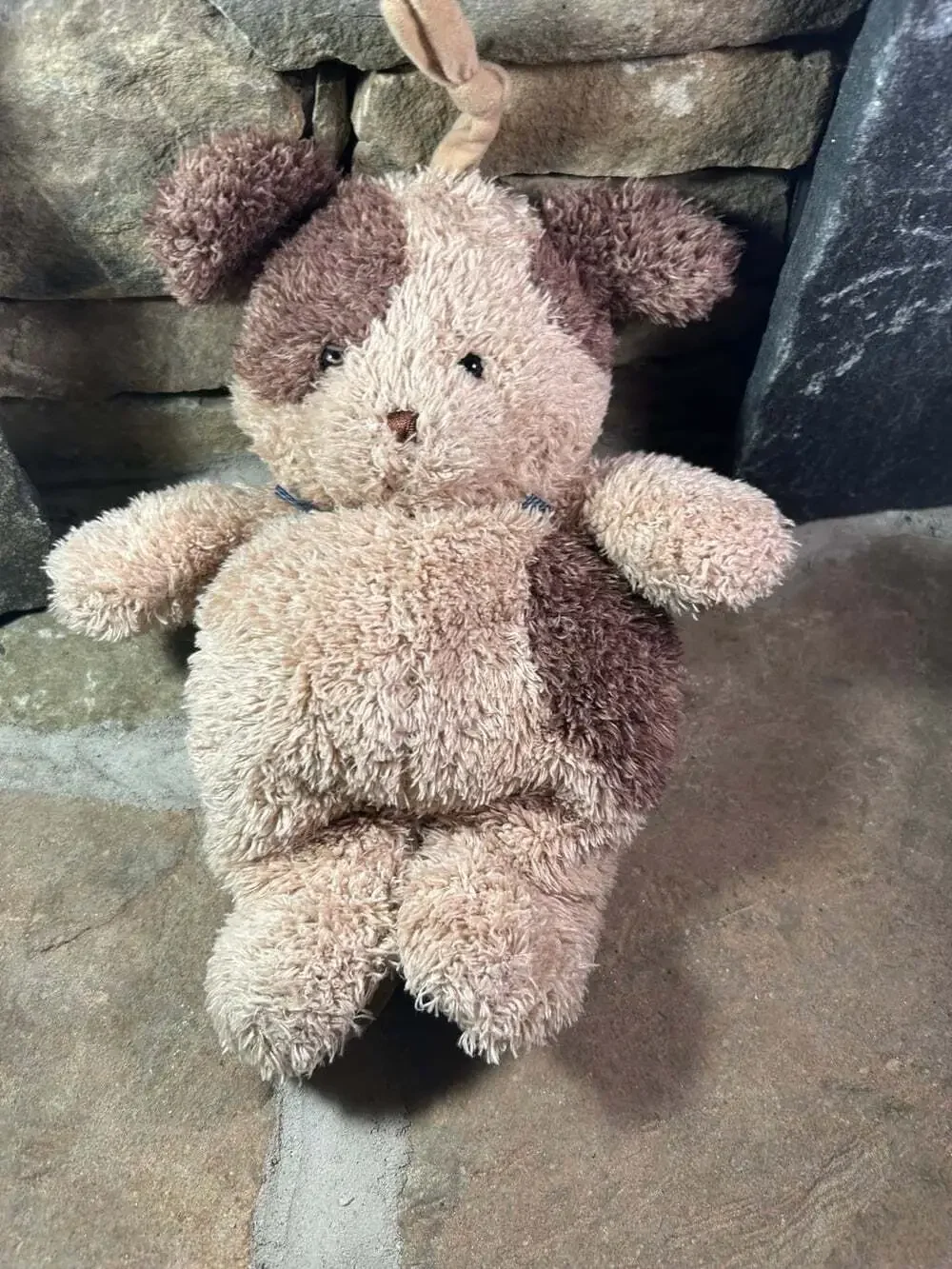 Carter's Child Of Mine Baby Puppy Musical Pull String “Ole Mac Donald “ plush